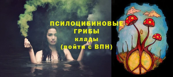 прущие грибы Ельня