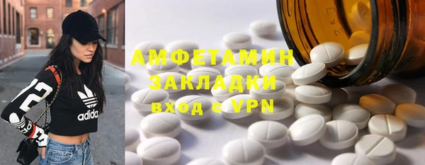 прущие грибы Ельня
