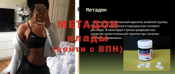 прущие грибы Ельня