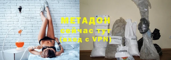 прущие грибы Ельня
