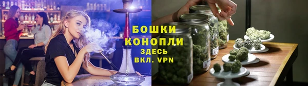 прущие грибы Ельня
