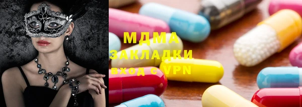 прущие грибы Ельня