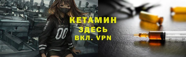 прущие грибы Ельня