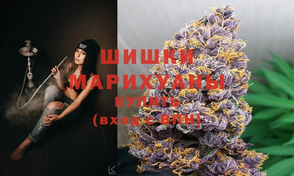 прущие грибы Ельня