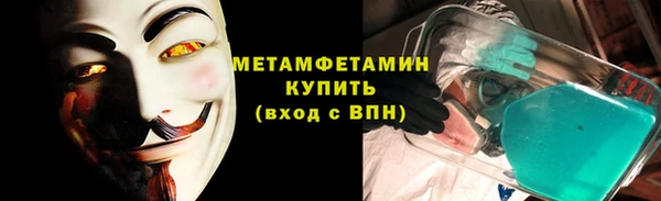 прущие грибы Ельня