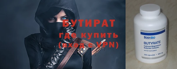 прущие грибы Ельня