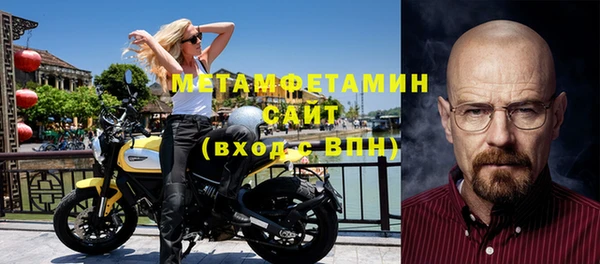 прущие грибы Ельня